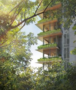 (D10) 15 Holland Hill