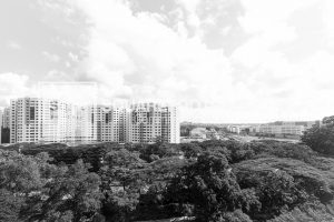 For SALE – Blk 100 Bedok North Ave 4