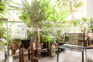 For Sale : Seventy Saint Patrick’s